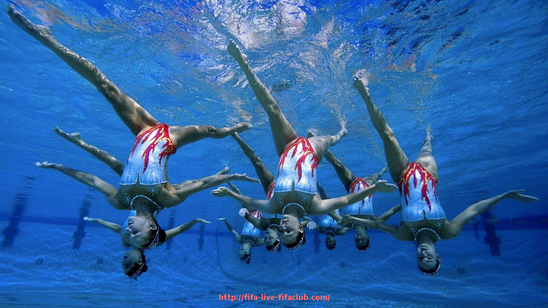 世俱杯直播-探秘世俱杯内容标签体系：从热点标签到算法推荐